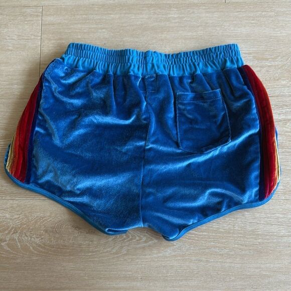 Aviator Nation Blue Five Stripe Velvet velour Dolphin Shorts Large - Picture 6 of 10